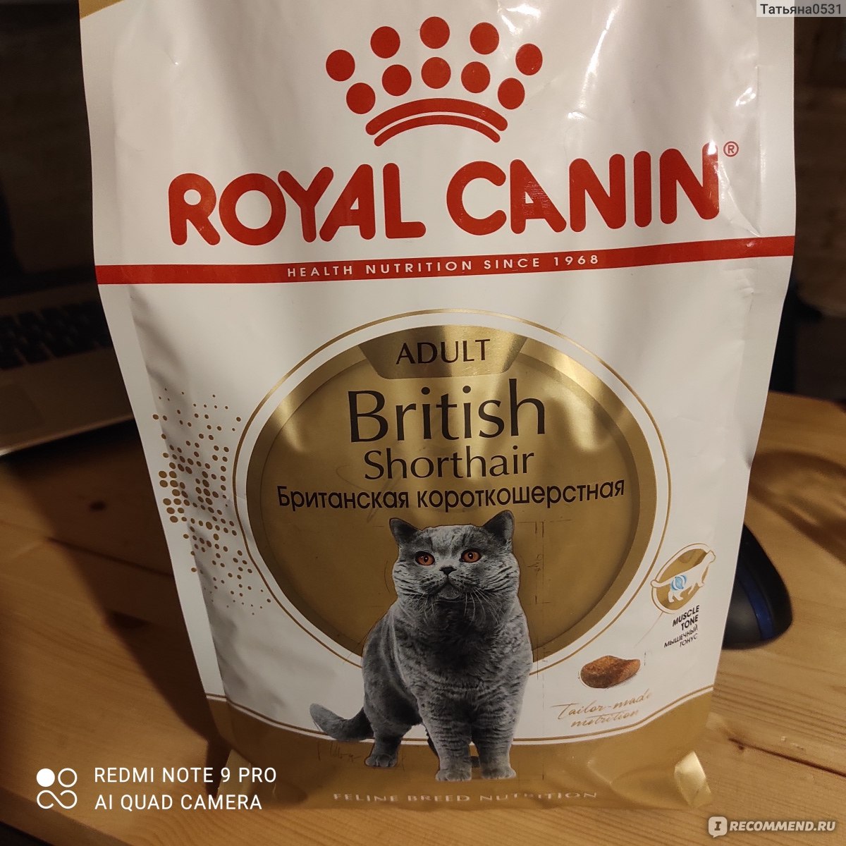 Хорошие корма для британцев. Royal Canin Британская короткошерстная. Корм Роял для британцев. Royal Canin британские кошки состав. Корм для британских кошек Italian.