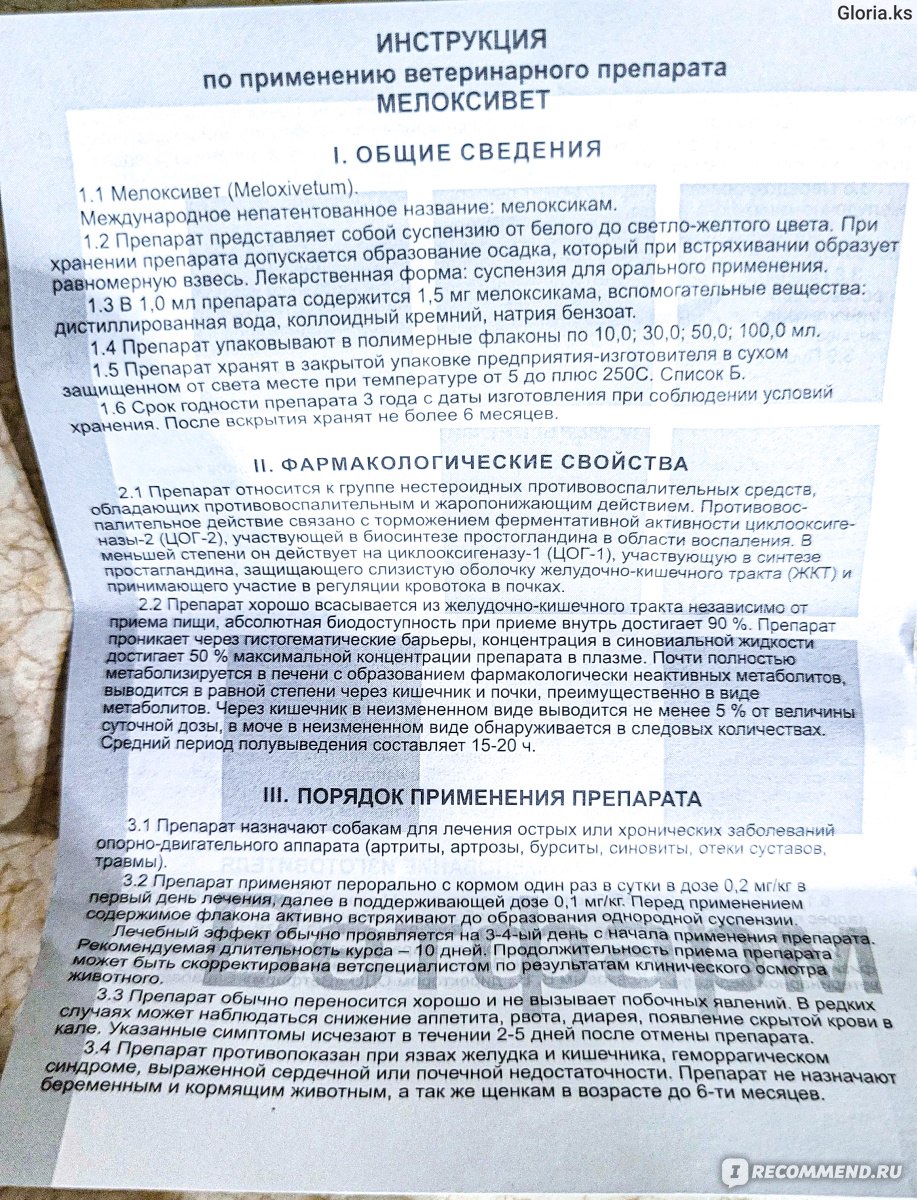 Противовоспалительное средство МЕЛОКСИВЕТ (Мелоксикам 1,5 мг/мл) Суспензия  (10 мл) Ветфарм - «Выписал ветеринар при болевом синдроме у котика, а также  как противовоспалительное средство от ранок на коже» | отзывы