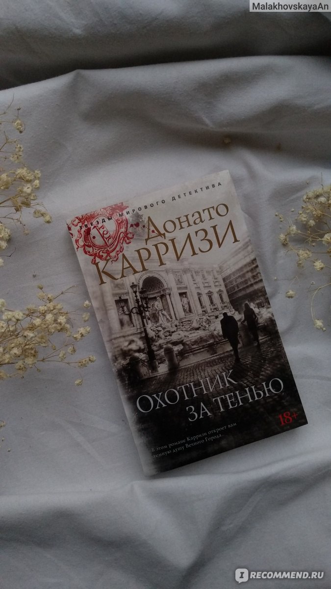 Охотник за тенью. Донато Карризи - «Завораживающий детектив известного  писателя - Донато Карризи» | отзывы