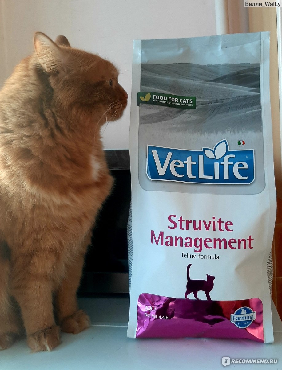 Корм для кошек Farmina Vet Life Cat Struvite Management - «Корм из Сербии  для профилактики МКБ» | отзывы