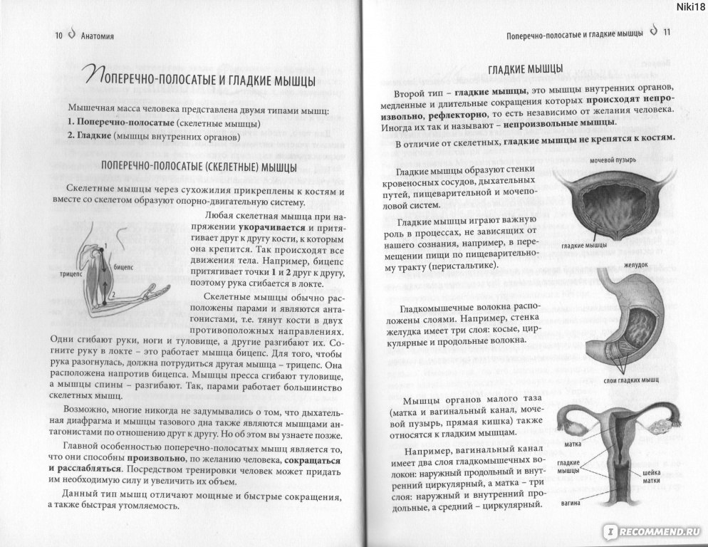 Что такое вумбилдинг и правда ли он поднимет ваш секс на новый уровень