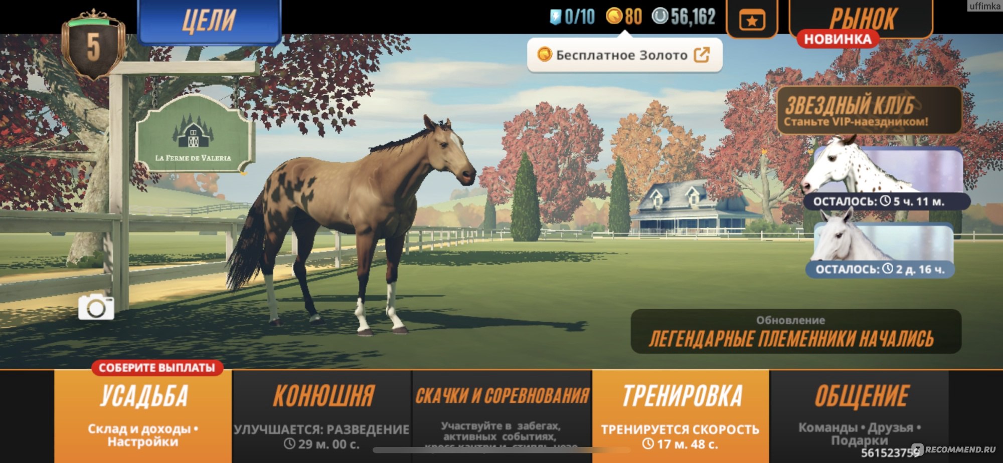 Компьютерная программа Rival Stars Horse Racing - «Одно из самых любимых  приложений про лошадей 🐎 желание завести лошадь мигом усилиться🩷🎀» |  отзывы