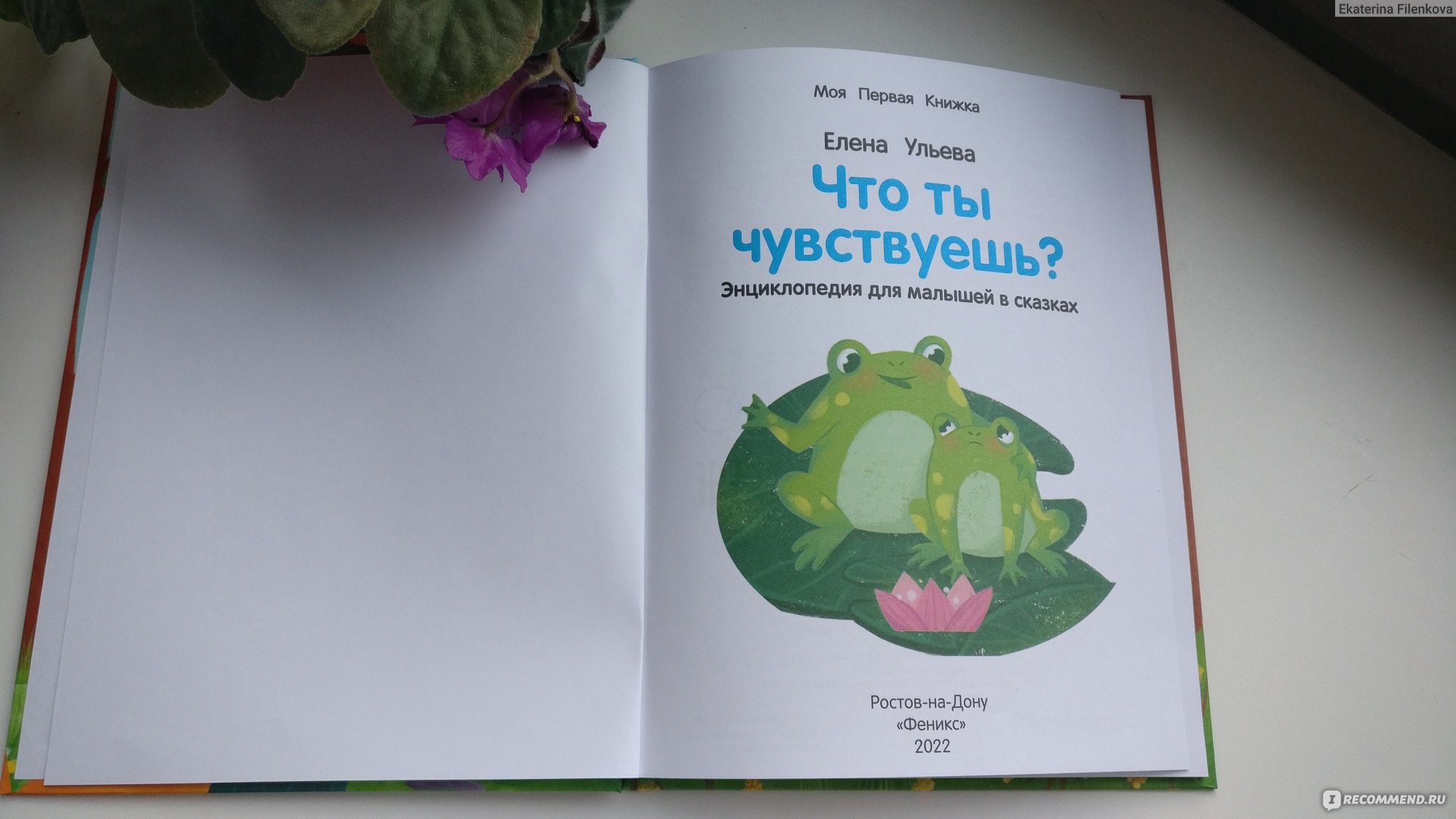 Что ты чувствуешь? Энциклопедия для малышей в сказках. Елена Ульева -  «Изучаем чувства с детьми» | отзывы