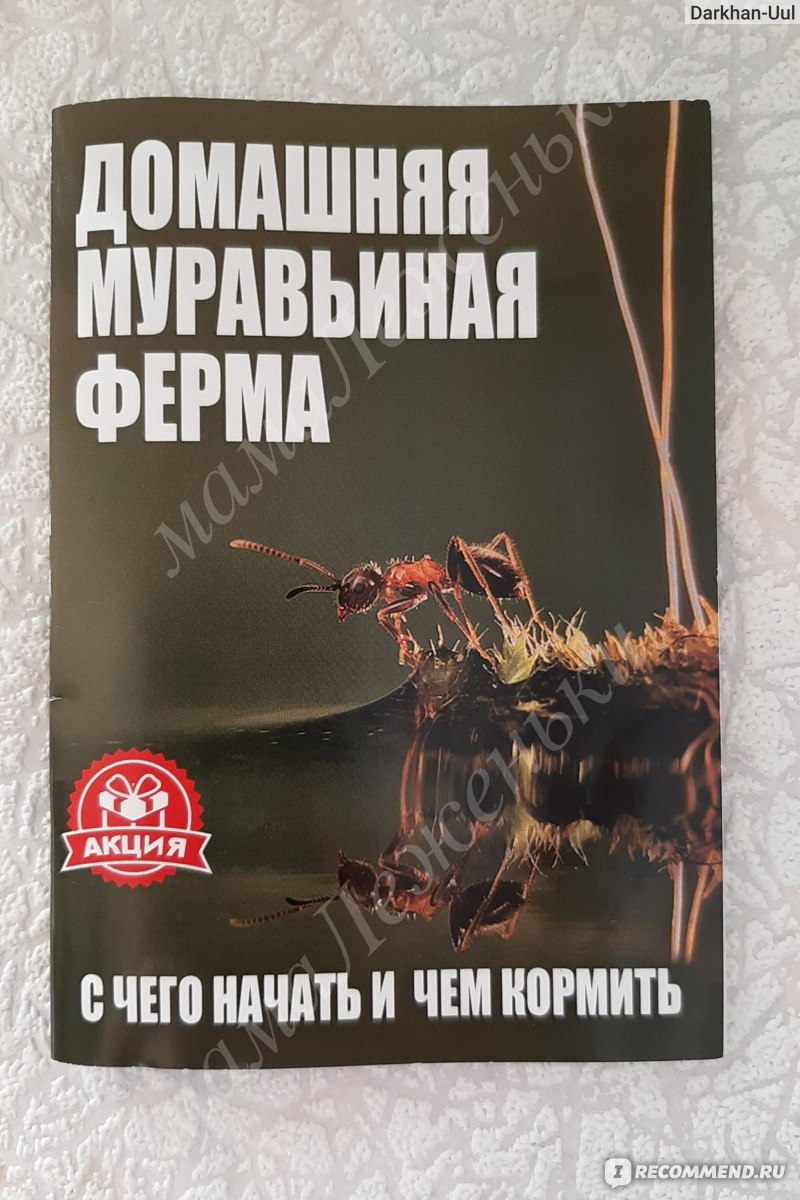 Формикарий BlackAnt Муравьиная ферма 