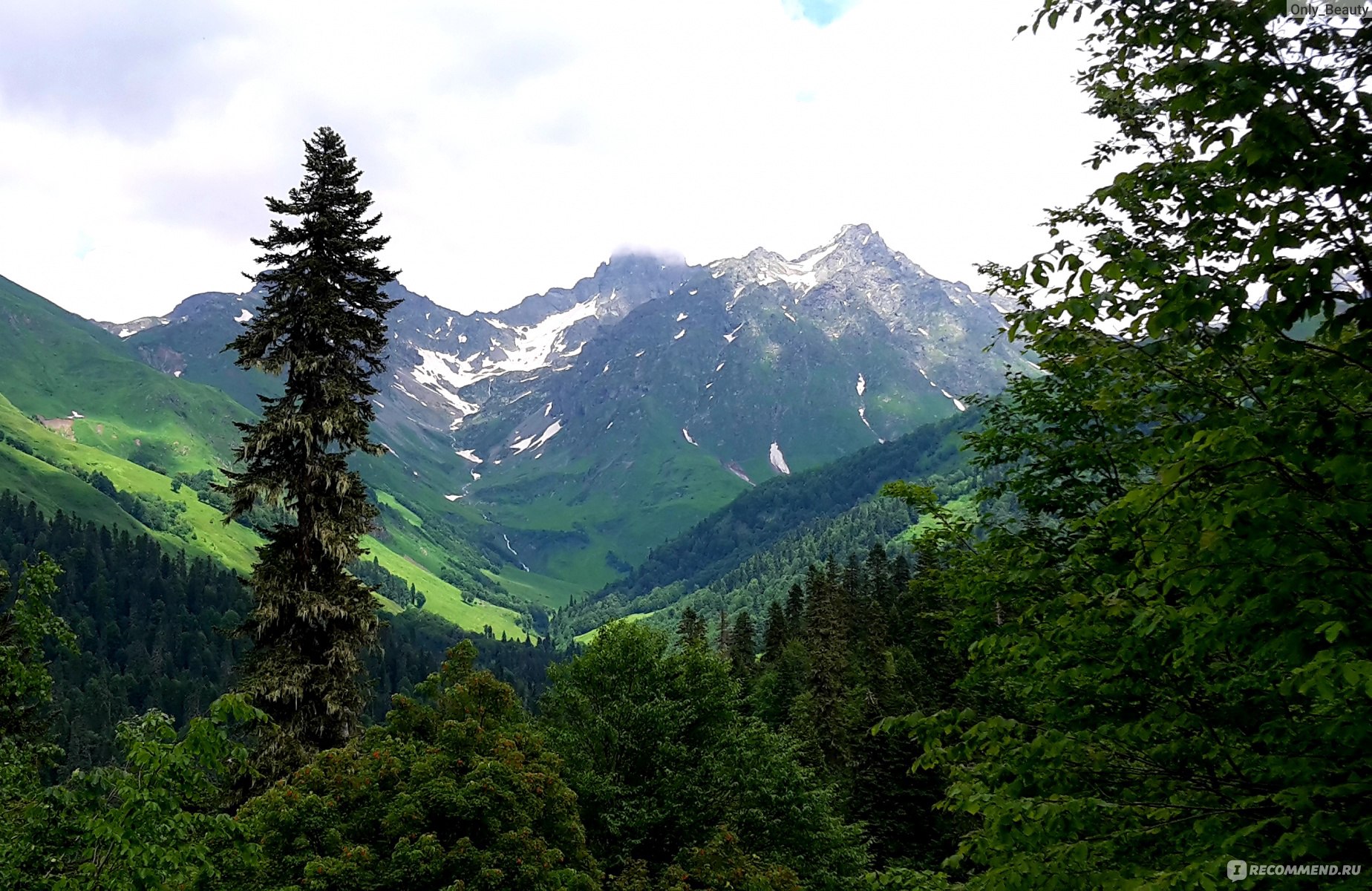 Альпийские Луга в Абхазии высота над уровнем моря