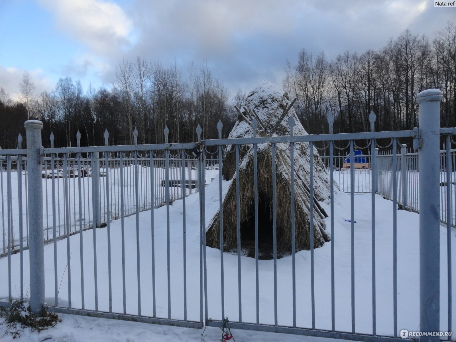 парк дубки в сестрорецке зимой