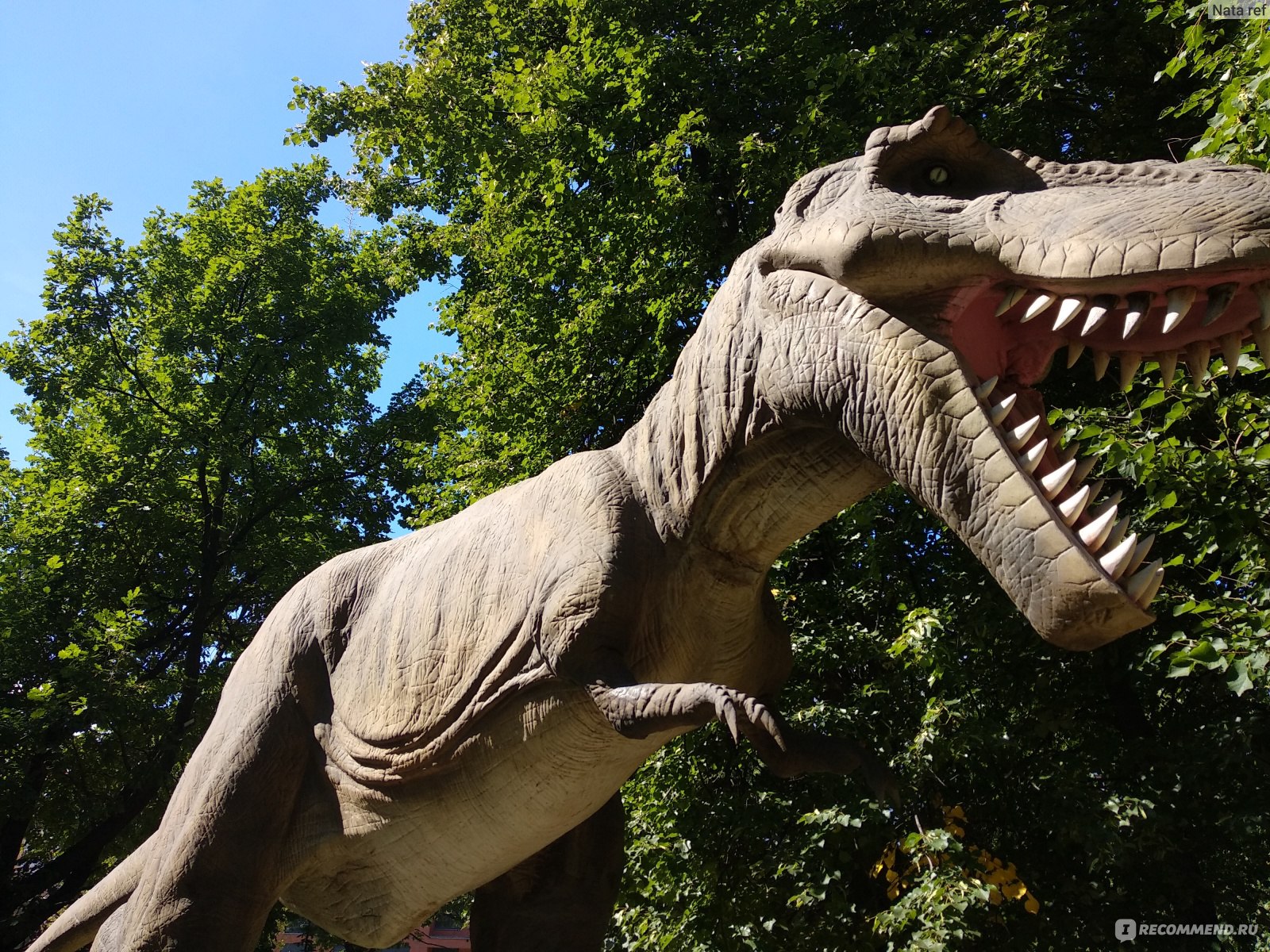 Музей динозавров в Санкт-Петербурге