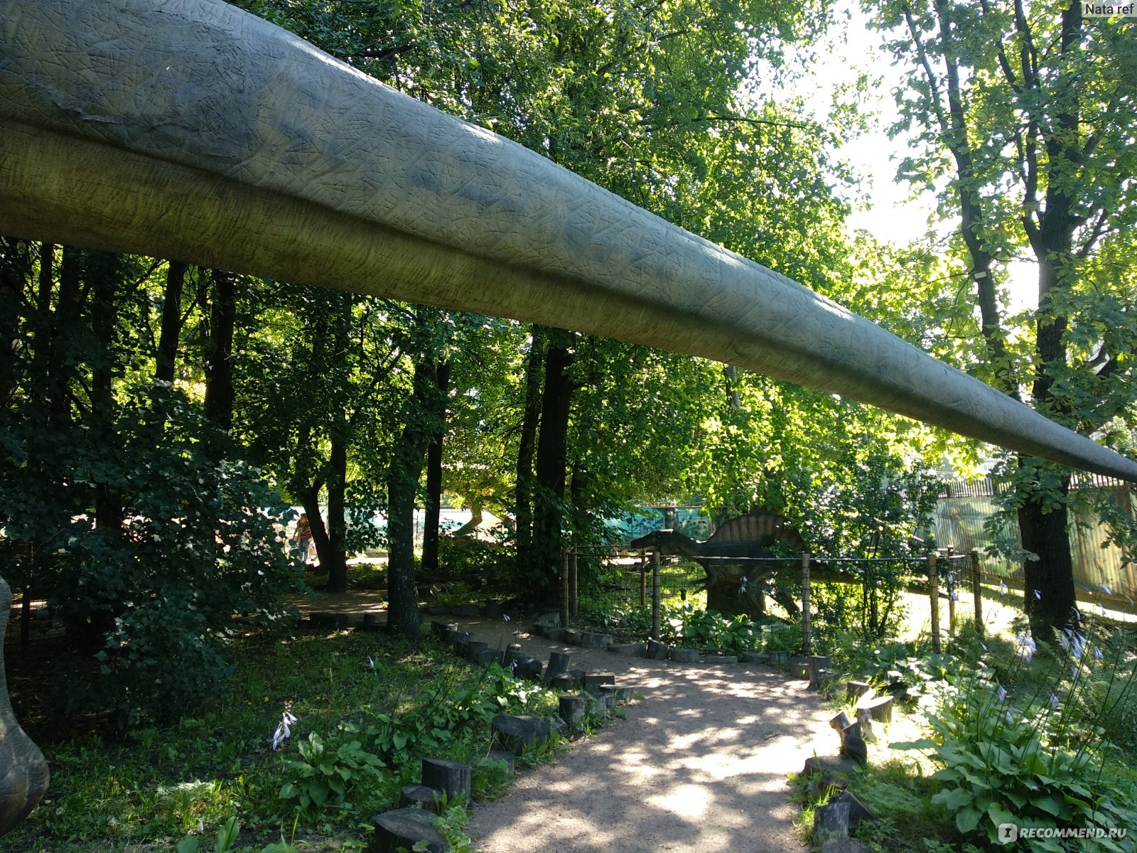 бабушкин парк в санкт петербурге
