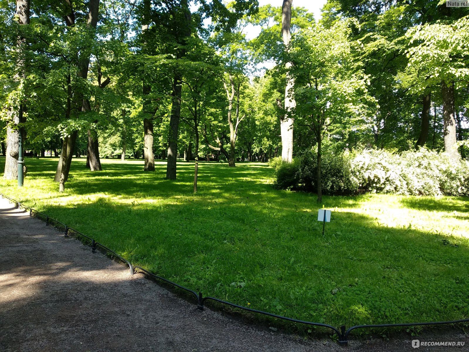 Меллоус сад Санкт-Петербург Чайковского 63
