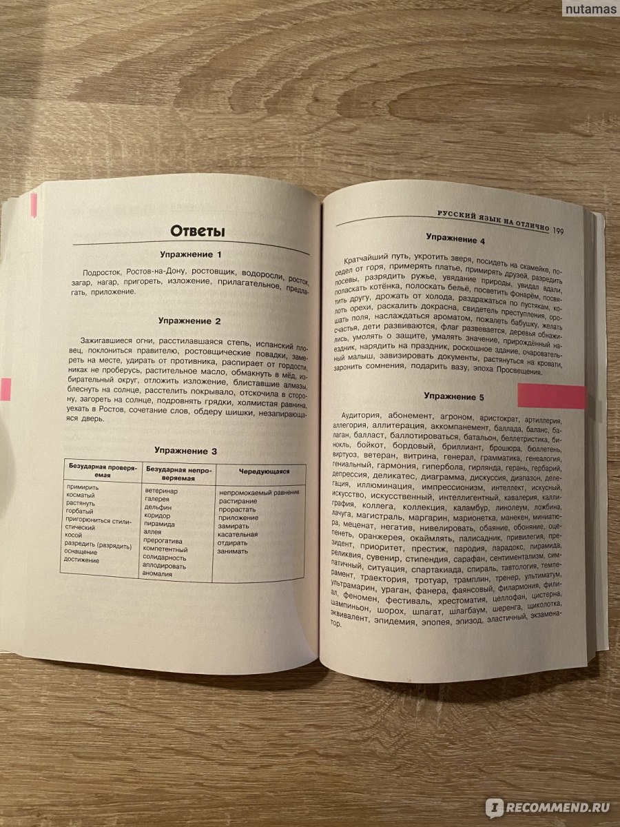 Русский язык на отлично. Екатерина Александровна Андреева - «Как подтянуть  русский язык взрослому человеку?» | отзывы