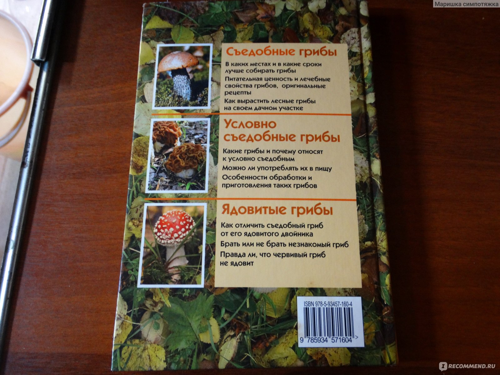 Грибы от А до Я. Иллюстрированный справочник. В. Гарибова - «💖 Грибной  навигатор 💖» | отзывы