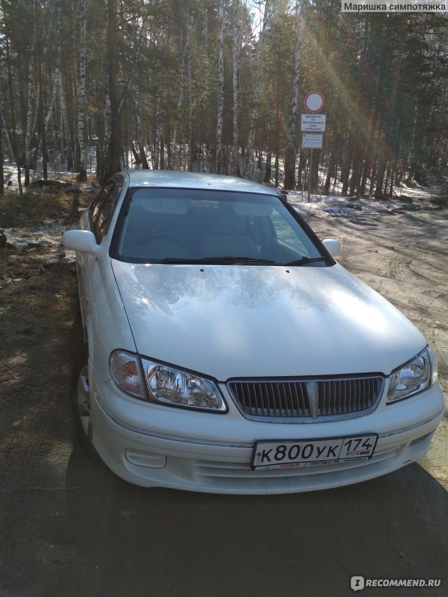 Nissan Bluebird Sylphy - 2000 - «💓 Не дорогой подпопник по необходимости  💓» | отзывы