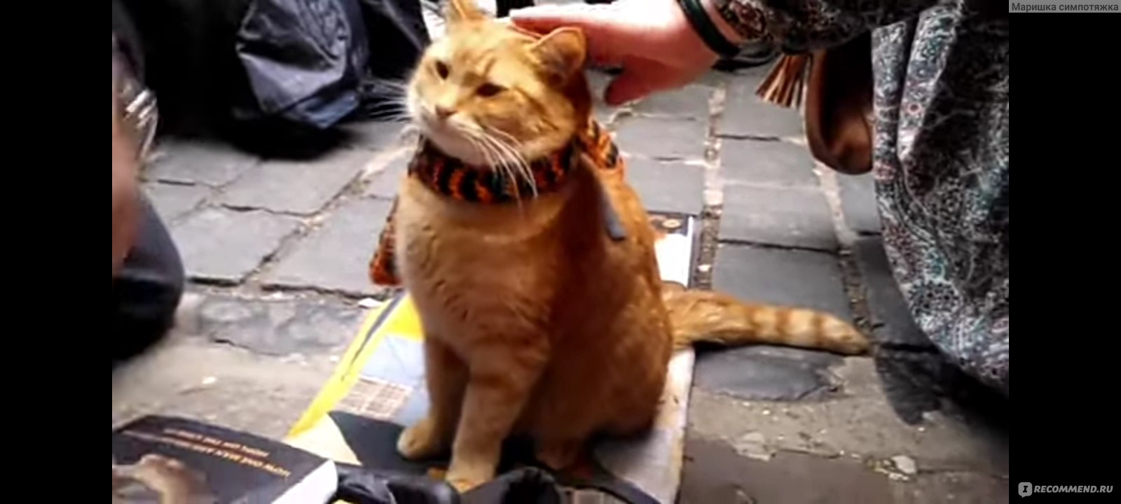 Уличный кот по кличке Боб / A street cat named Bob (2016, фильм) -  «