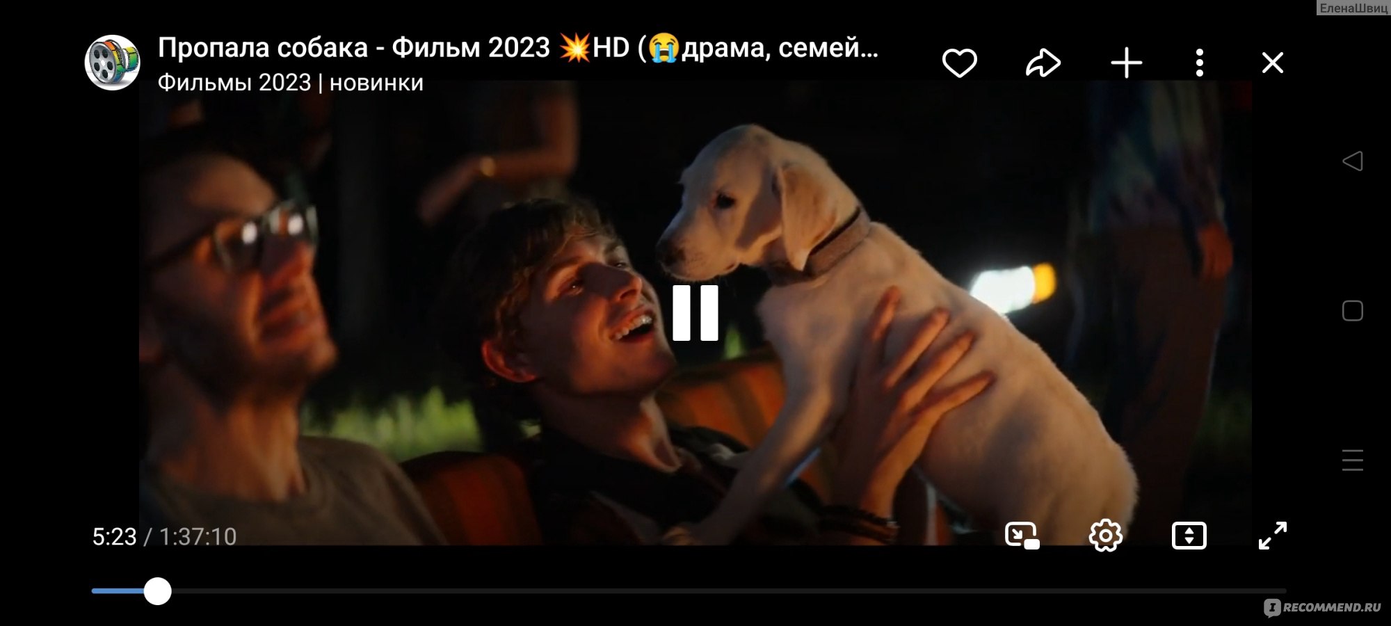 Пропала собака (2023, фильм) - «У них есть 20 дней, иначе пёс умрёт.😢  Фильм, основанный на реальных событиях, происходивших в жизни Филдинга  Маршала и его пса Гонкера🦮, пропавшего на прогулке в лесу.» | отзывы