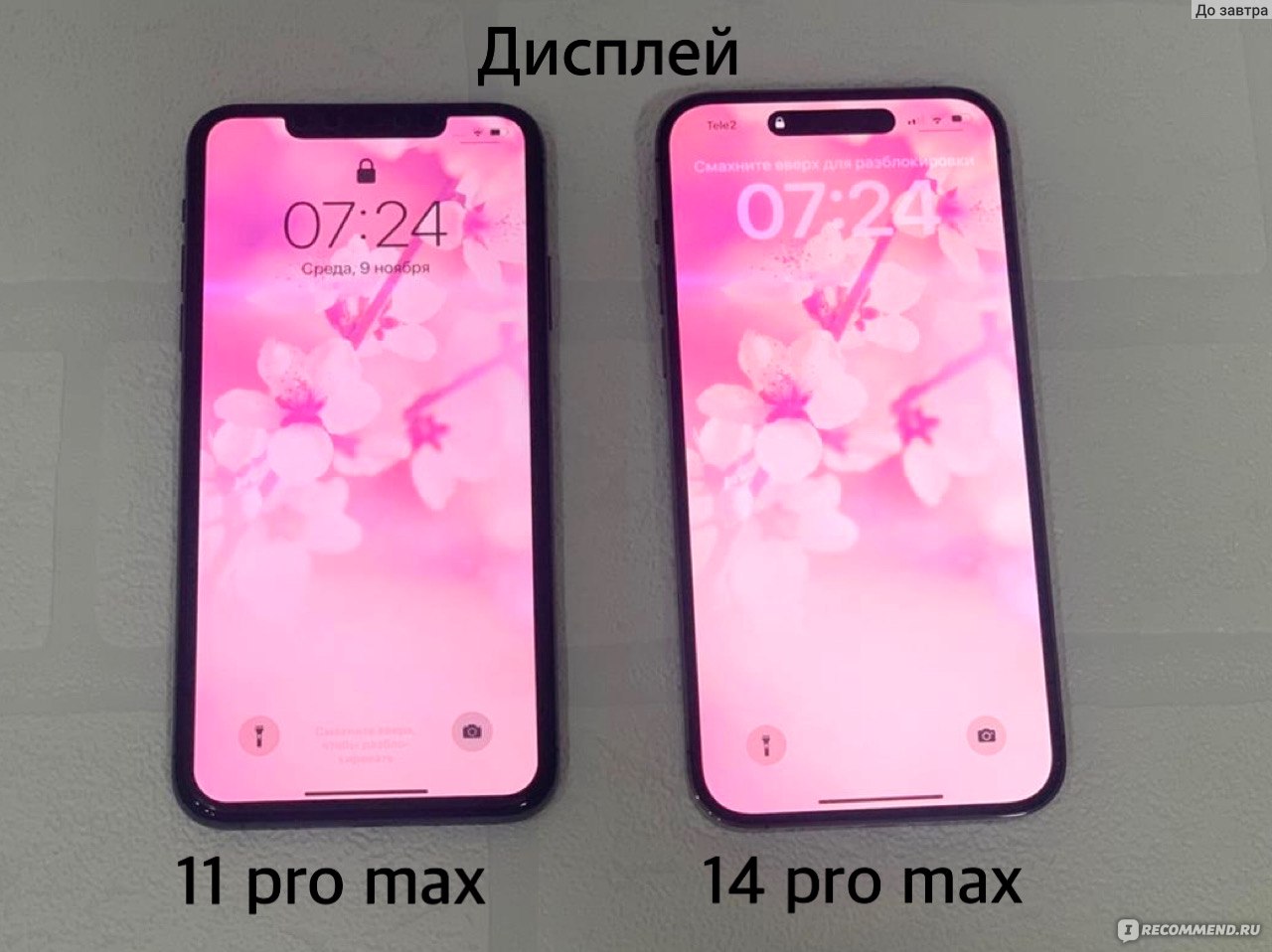 12 pro 14 pro сравнение. Iphone 14 Pro Max. Iphone 14 Pro Max Pink. Iphone 14 Promax и 11. Iphone 14 Pro и 14 Pro Max.