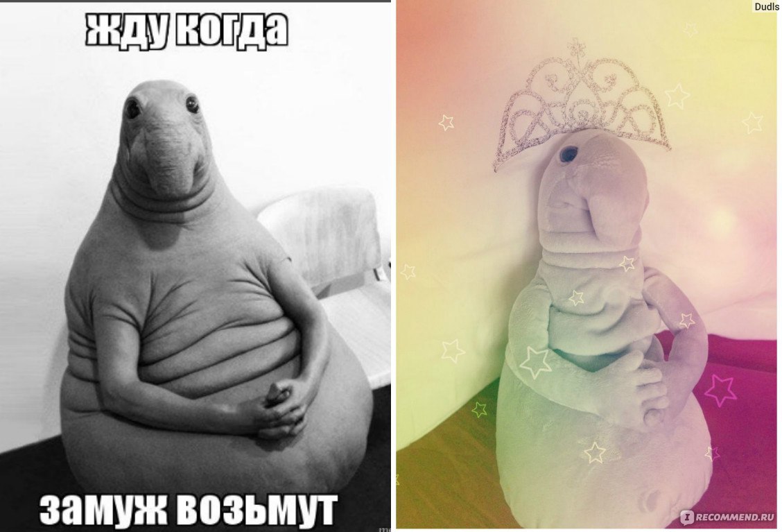 Ждун в розовом платье