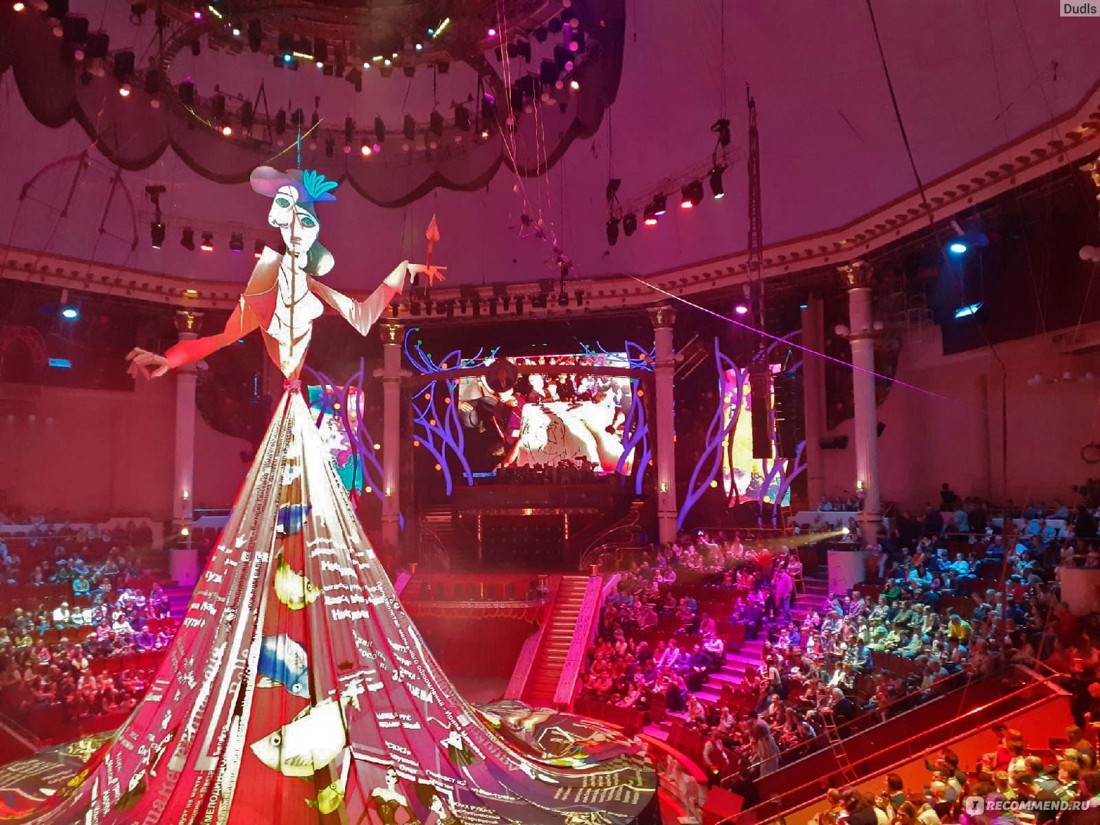 фото зала цирка на цветном