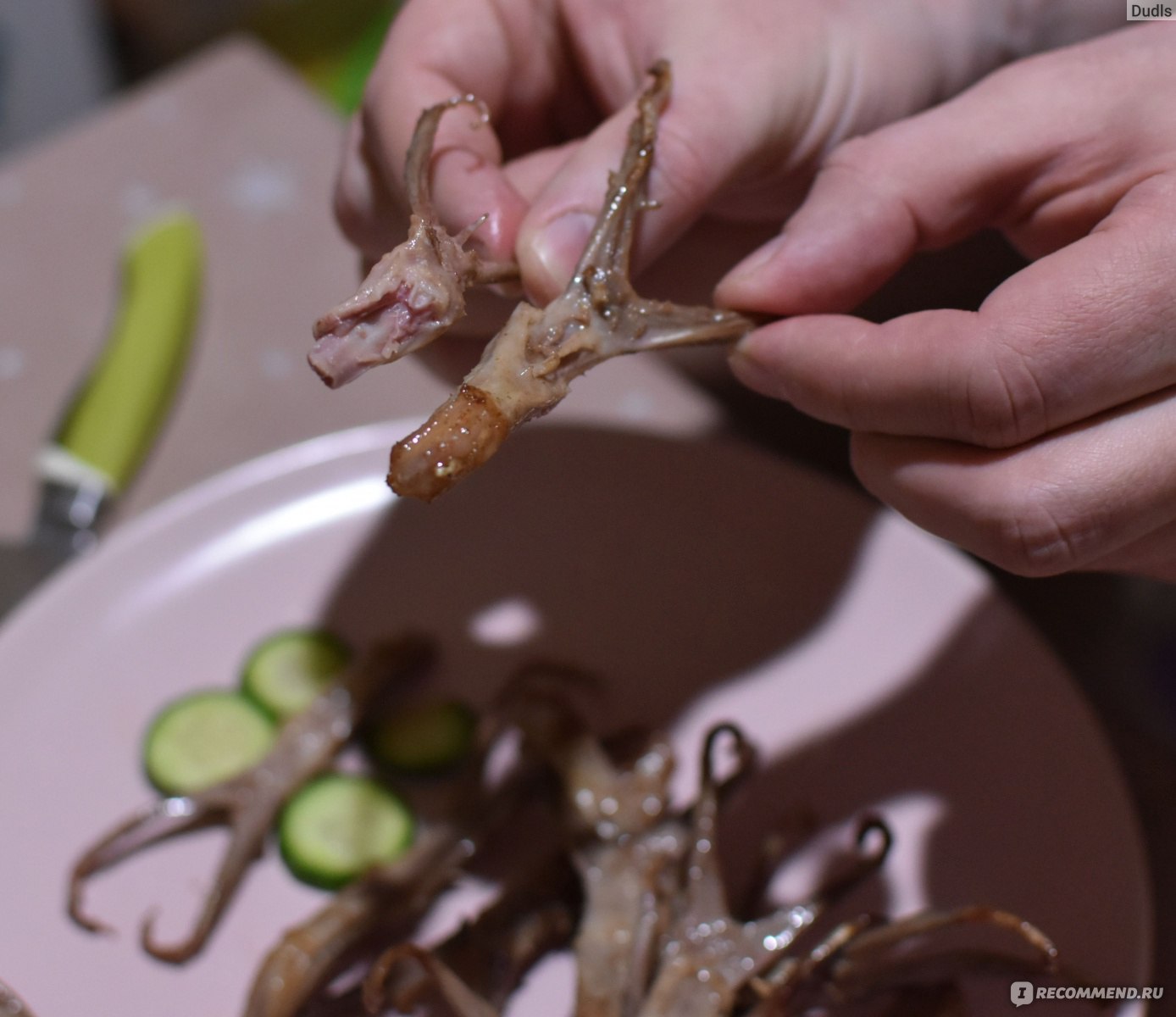 Субпродукты птицы Озёрка язычки утенка Darfresh охлажденные, 350 г фото
