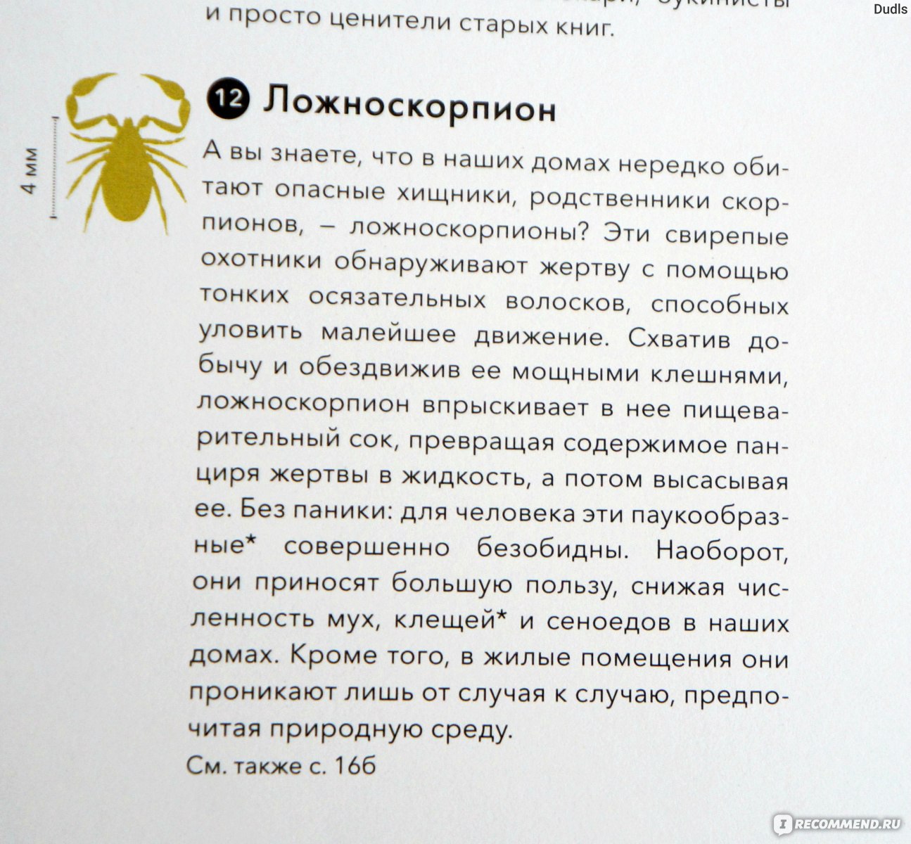 Живой мир под микроскопом. Элен Ражкак, Дамьен Лавердан - «Чувствую кожей  как по мне бодро прыгают пылевые клещи, а на бровях как в гамаке  расположились железницы. Книга Живой мир под микроскопом -