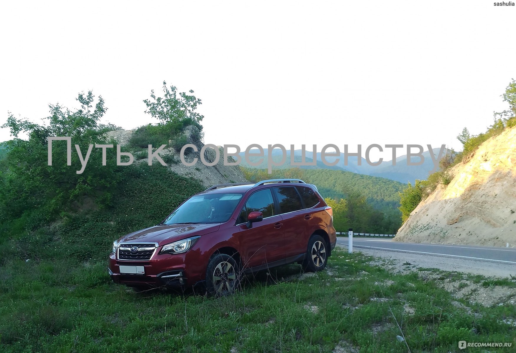 Subaru Forester - 2016 - «Большой и объективный отзыв. Плюсы и минусы.  Красивые фото с высоты 900 метров над уровнем моря .» | отзывы