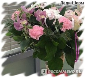 Фантазия Цветы Адреса Магазинов Фантазия Цветы Адреса Магазинов