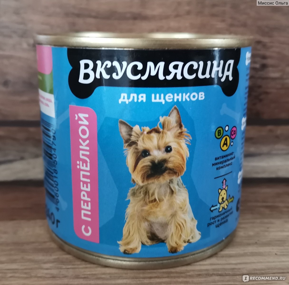 Консервированный влажный корм для собак Вкусмясина для щенков с перепелкой  - «🐶Очень рада, что нашла этого производителя!🐶 Вкусмясина для собаки  просто объедение (и не только для собаки!) 🐶» | отзывы