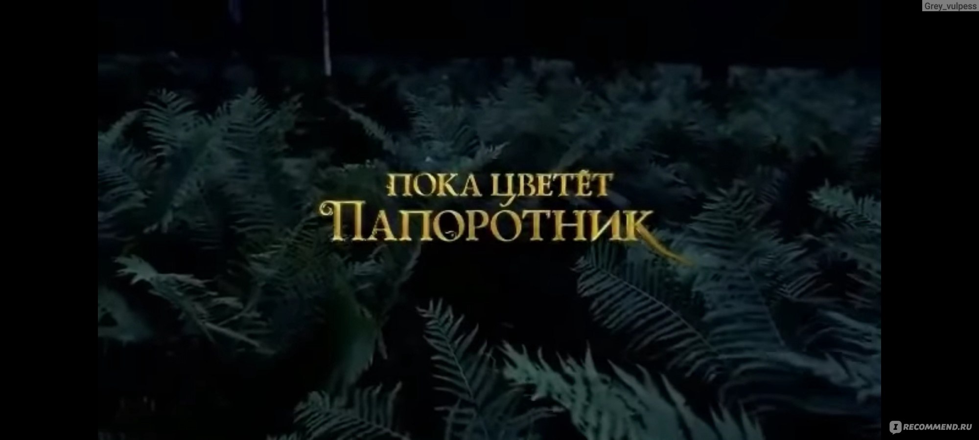 Пока цветет папоротник - «Увлекательная сказка для взрослых! Пересматривала  6 раз. Магия, цветущий папоротник и Александр Петров в главной роли» |  отзывы