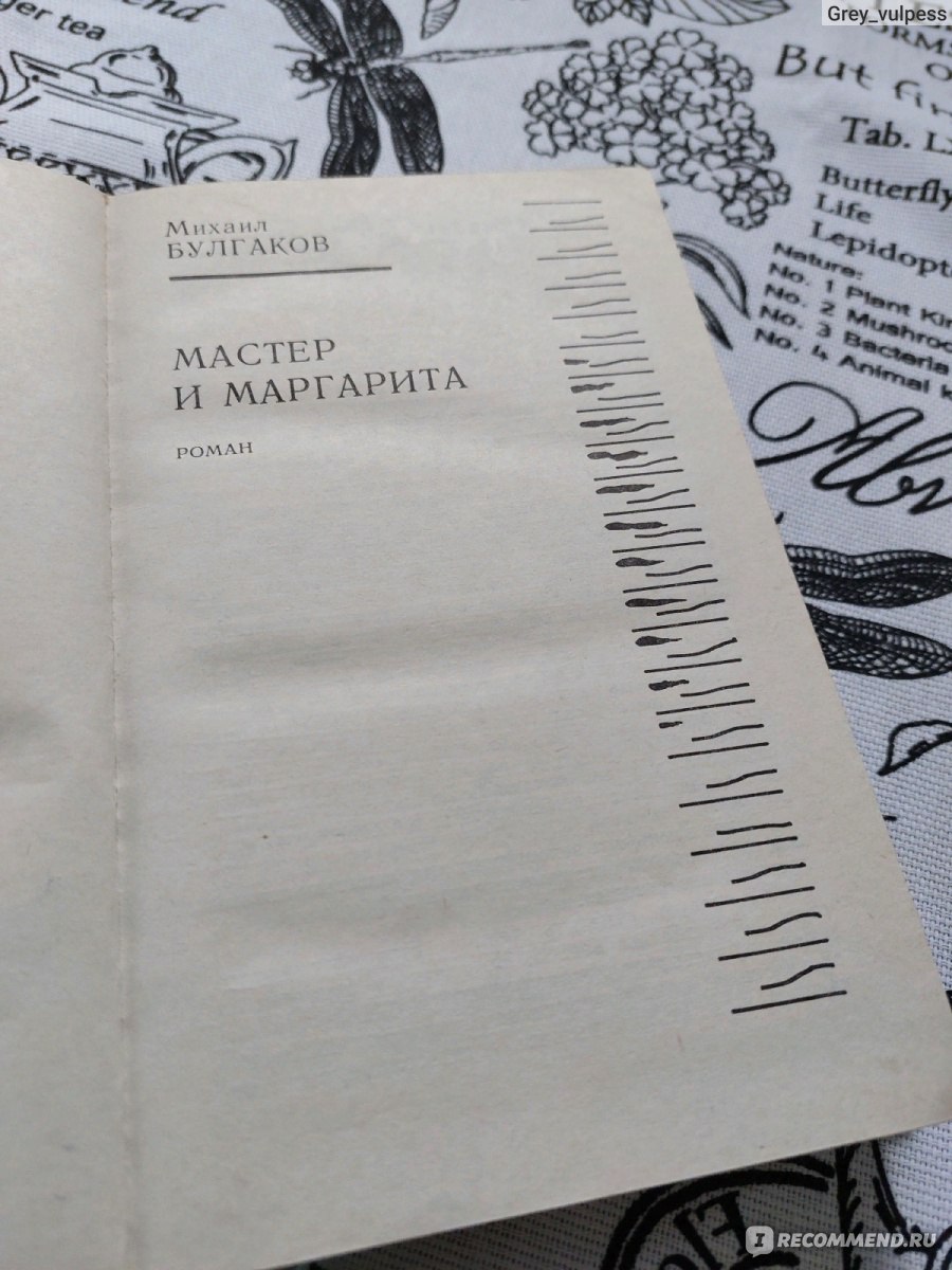 Мастер и Маргарита, Михаил Булгаков - «Отзыв на гениальное произведение  Булгакова: таинственная Маргарита и ее загадочный Мастер 🔮 Добро и зло в  романе поменялись местами 💫 Прочитала 6 - й раз за