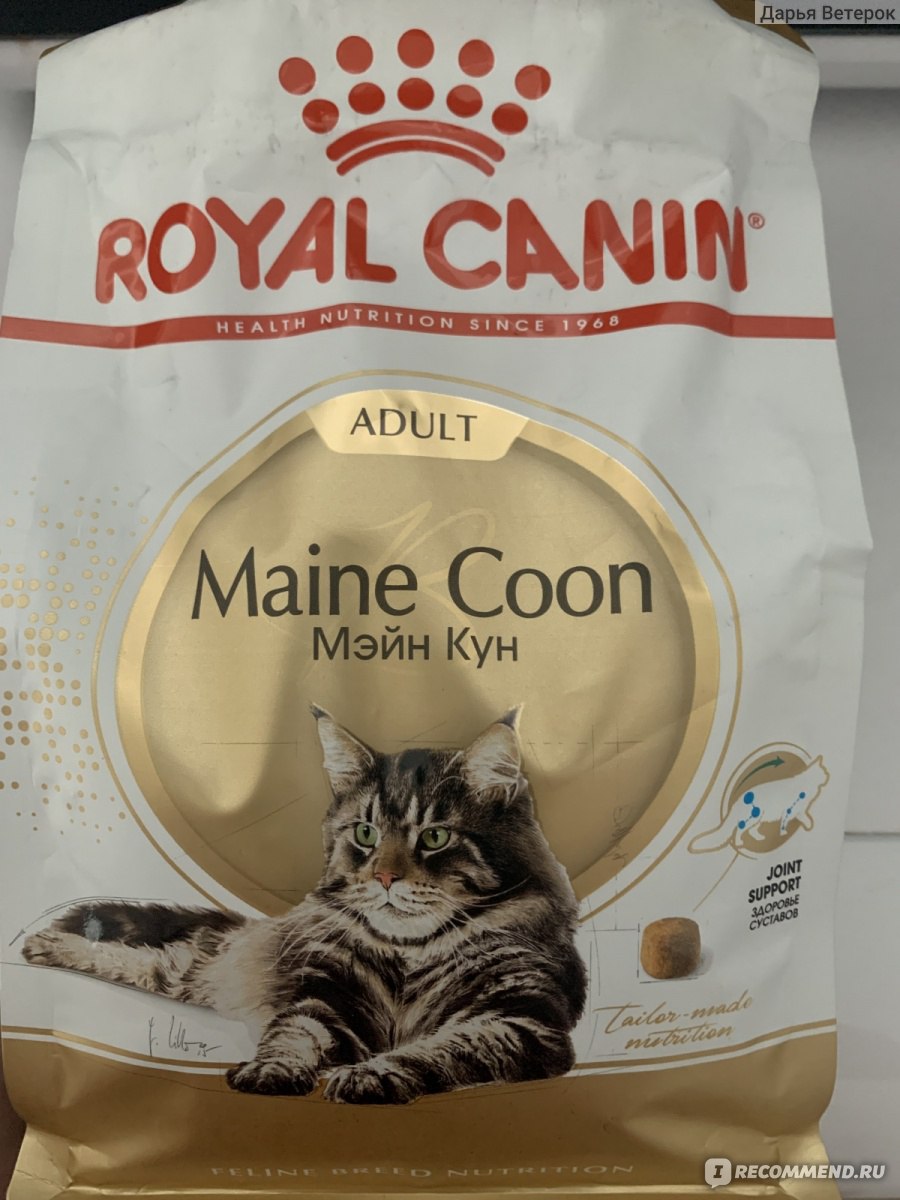 Корм для кошек Royal Canin Maine Coon Adult - «Лучший корм для моей кошки.»  | отзывы