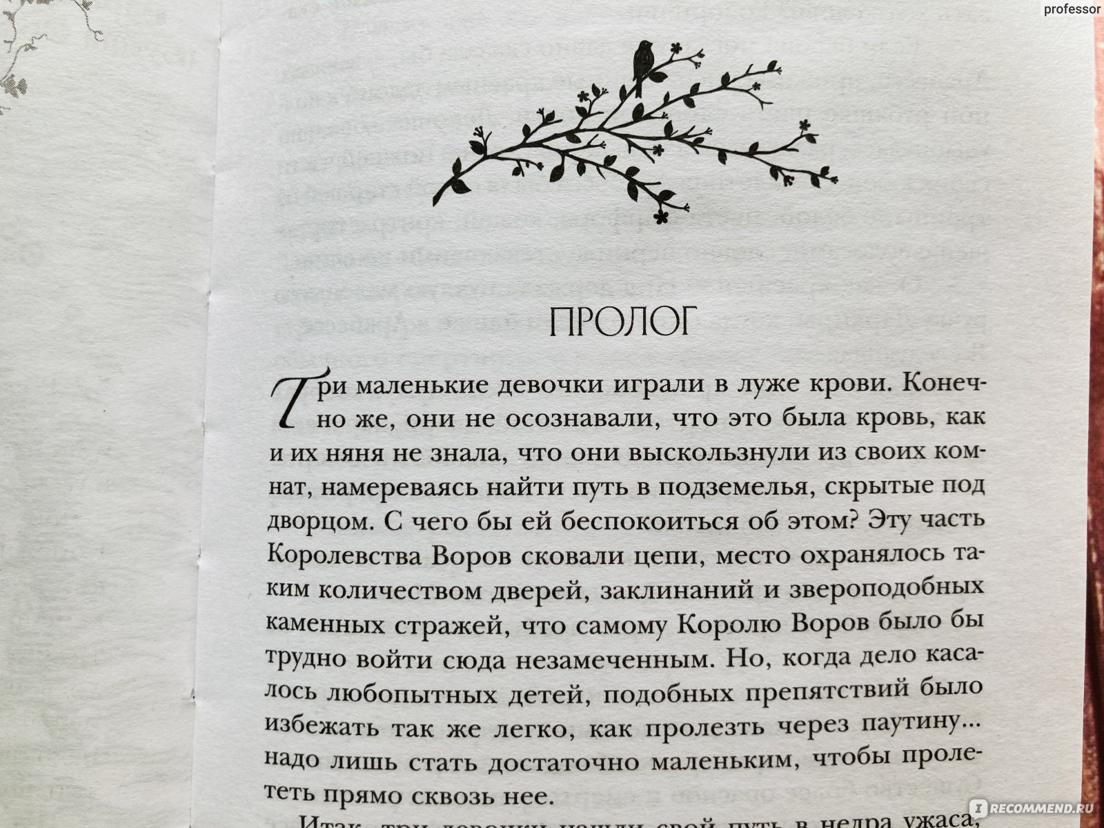 Э. Дж. Меллоу - магия Мусаи серия книг