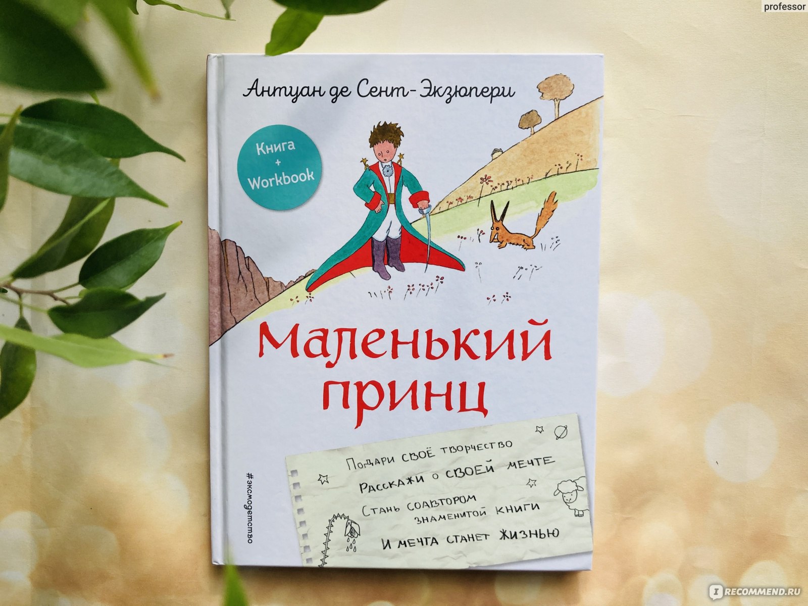 Маленький принц, Антуан де Сент-Экзюпери - «Детская классика. История с  workbook, ребенок сможет не только читать, но и фиксировать размышления об  истории» | отзывы