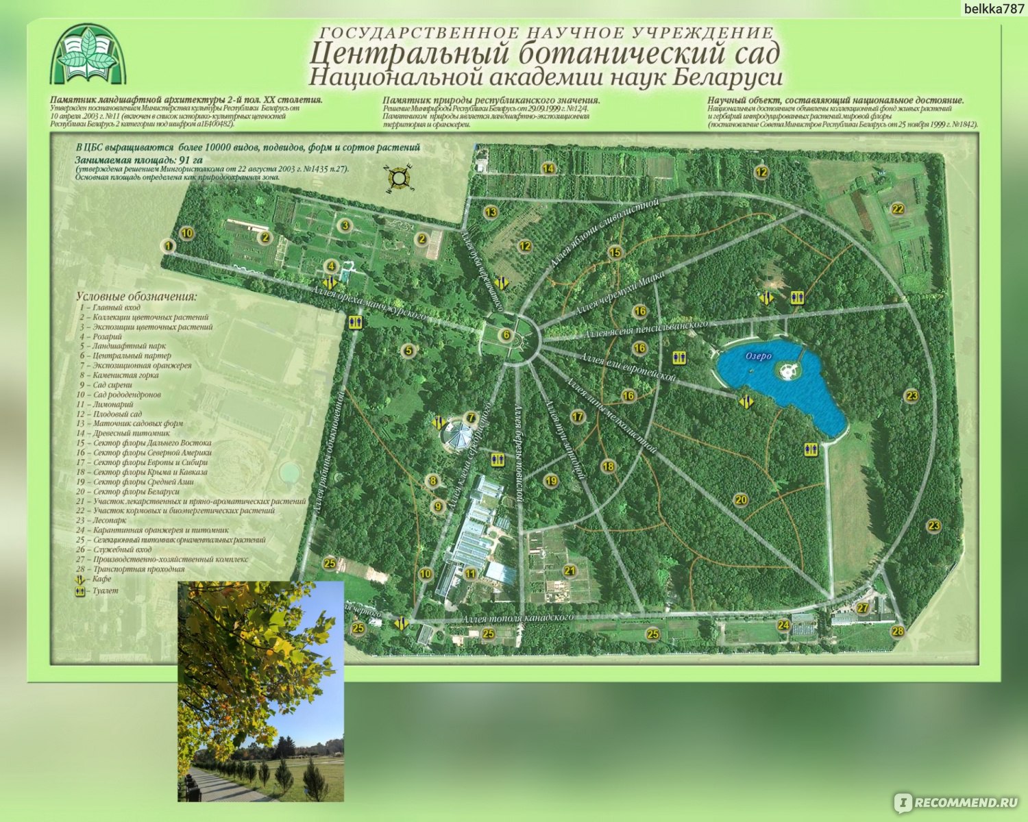 Ботанический сад Москва схема парка