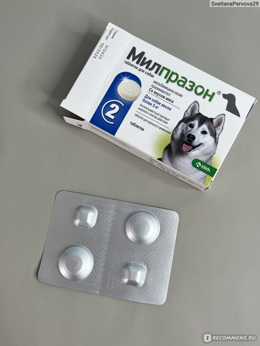 Антигельминтики Милпразон для собак весом более 5 кг - «Профилактика вашей  собаки от паразитов. » | отзывы