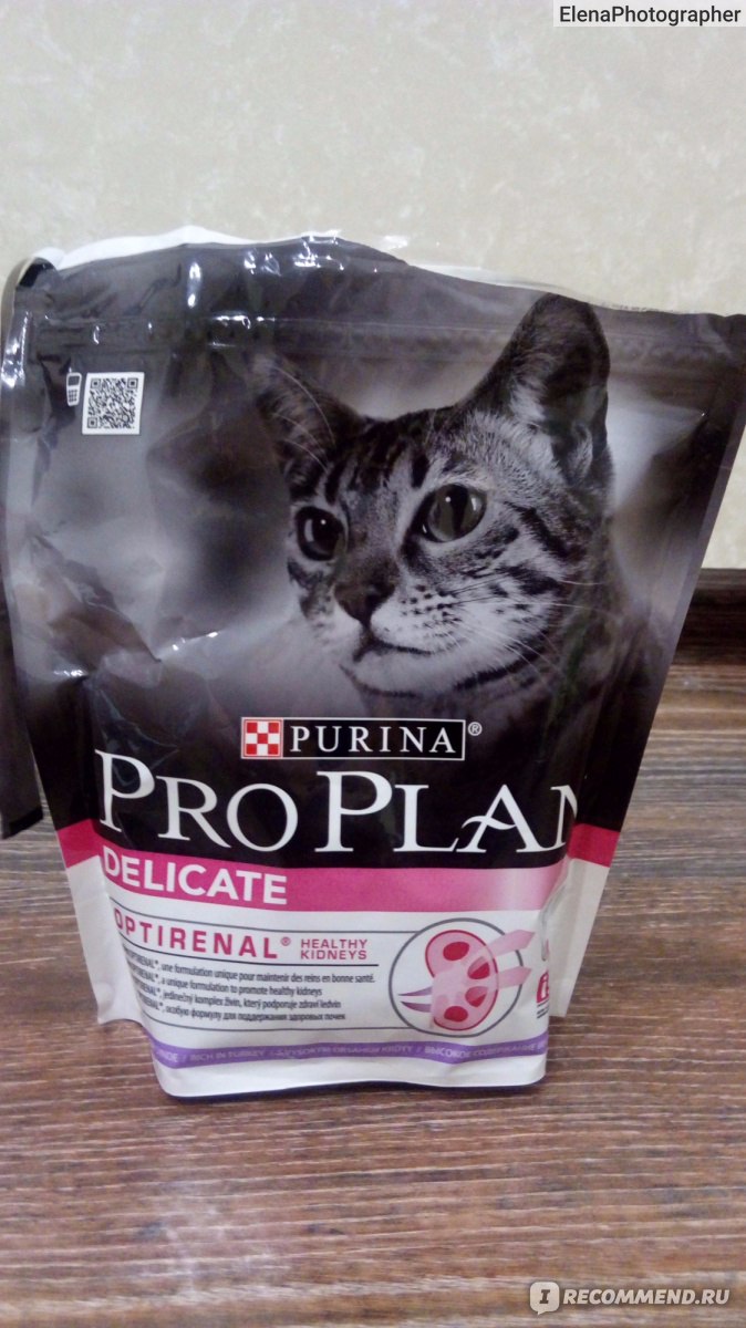 Корм для кошек Purina Pro Plan Delicate - «Pro Plan- рацион моего кота  после острого панкреатита! Фотоотчет о кошачьей жизни прилагается! » |  отзывы