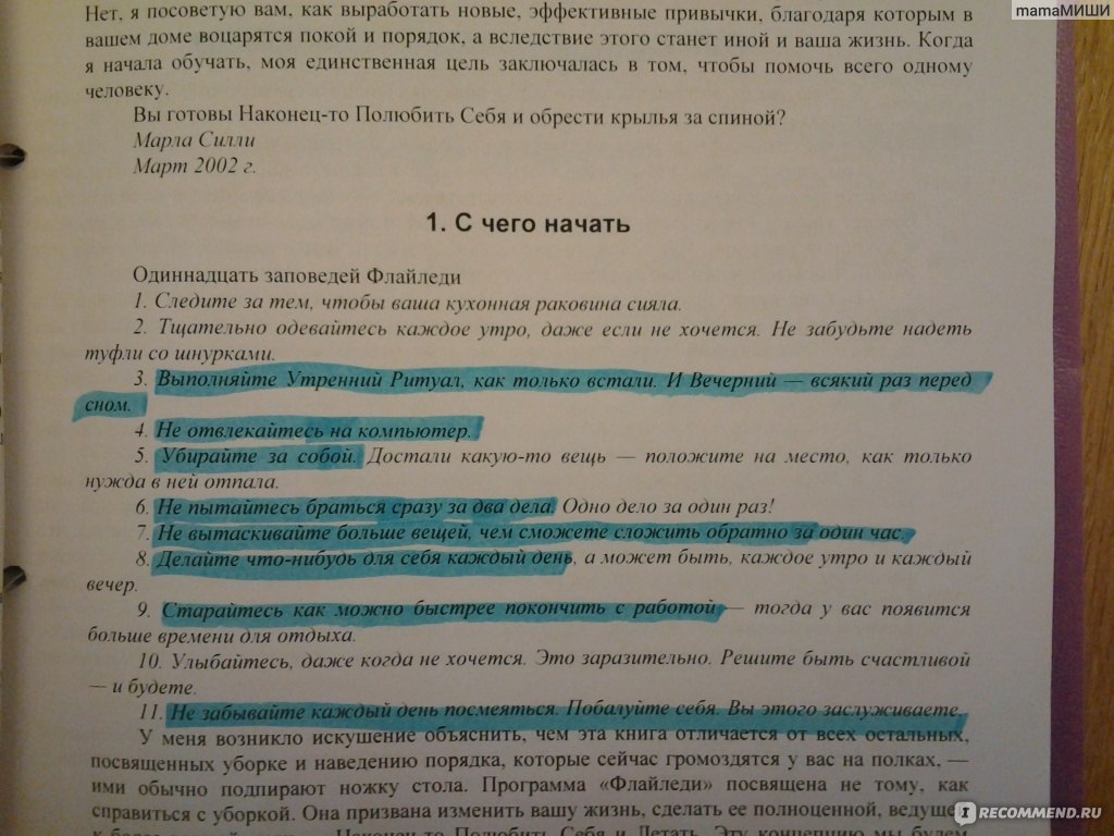 Летающая домохозяйка. Размышления у кухонной раковины, Марла Силли -  «Идеальный порядок в доме за 15 минут без усилий!!!!!» | отзывы