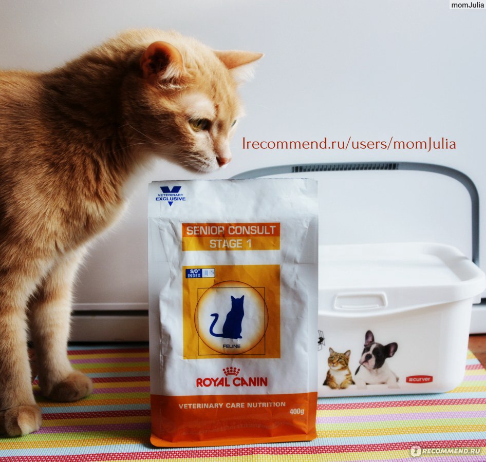 Royal Canin Senior Consult Stage 1 - «Хоть мой кот и старичок, он веселый  бодрячок! *** Корм для котов старше 7 лет, имеющих мочекаменную болезнь ***  Подробно о применении *** Много фото» | отзывы