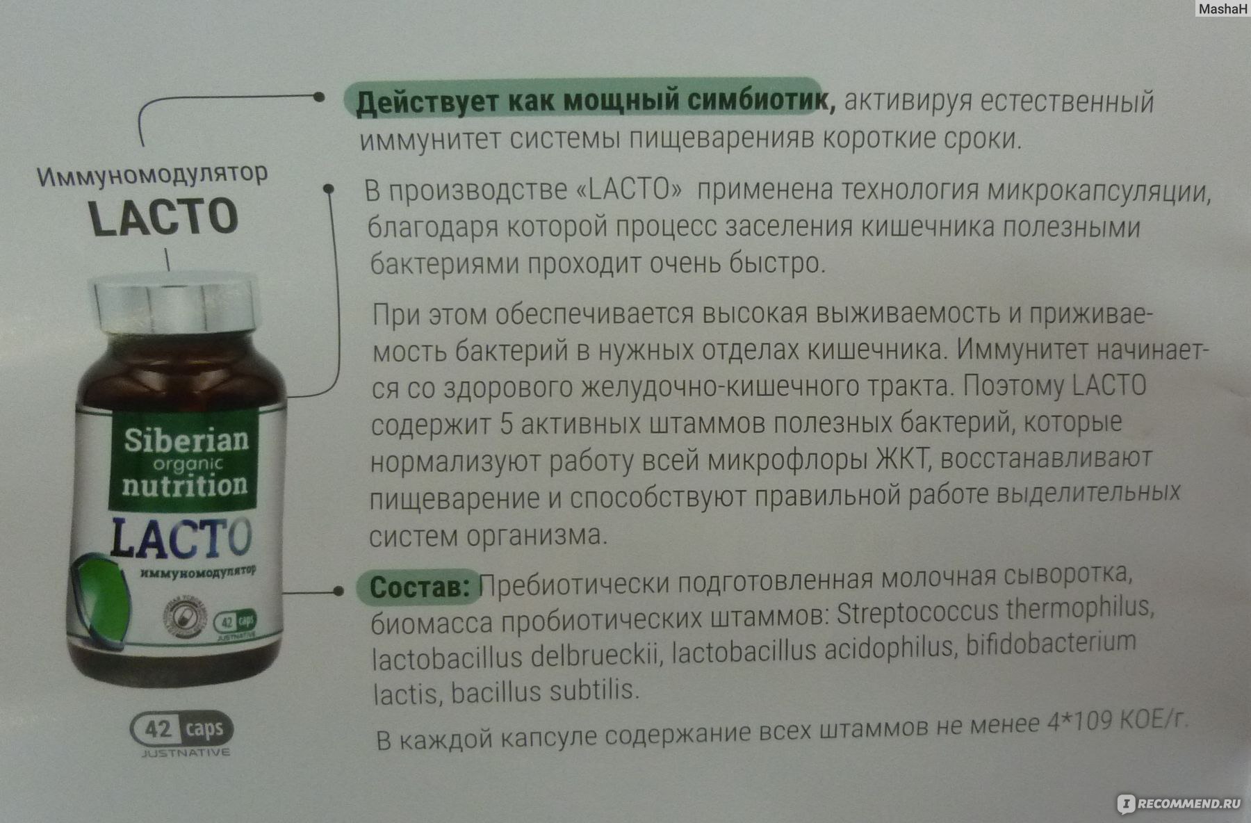 БАД Siberian Organic Nutrition Иммуномодулятор Lacto - «Иммунитет  начинается со здорового кишечника! 🌱» | отзывы