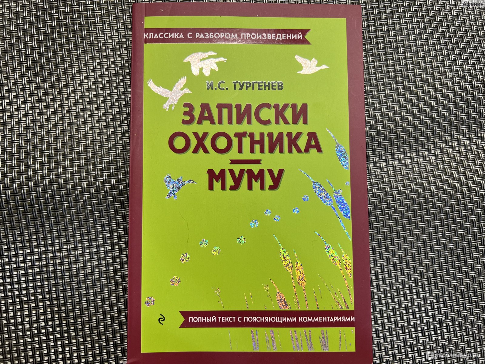 Записки охотника. Муму. Классика с разбором произведения. Иван Сергеевич  Тургенев - «Получаем 5ки по литературе без труда» | отзывы