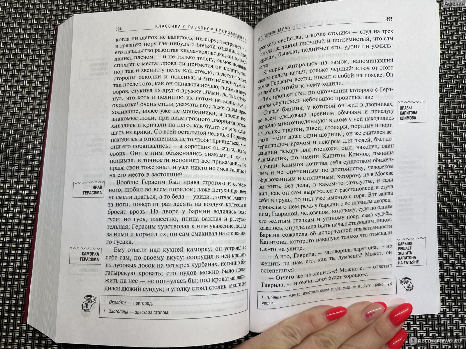 Записки охотника. Муму. Классика с разбором произведения. Иван Сергеевич  Тургенев - «Получаем 5ки по литературе без труда» | отзывы