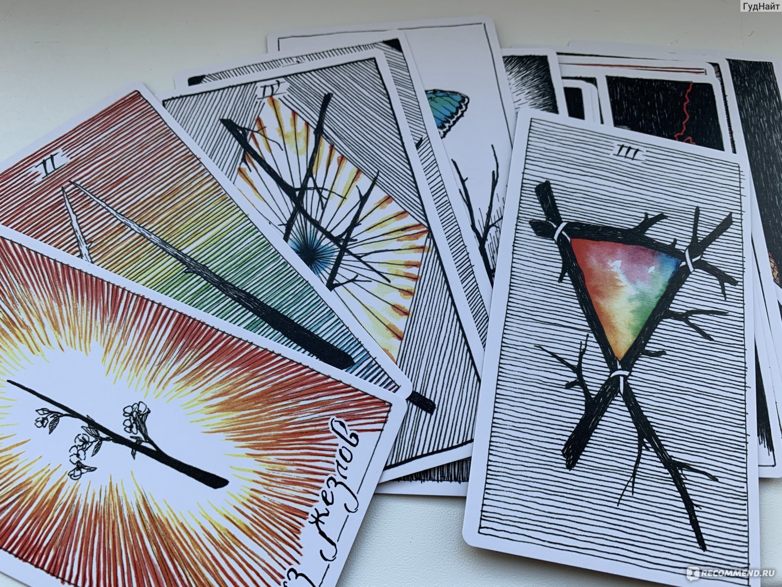 The Wild Unknown Tarot * Дикое Неизвестное Таро - «Моя ручная любимица.  Обзор на очень красивую колоду +много фото» | отзывы