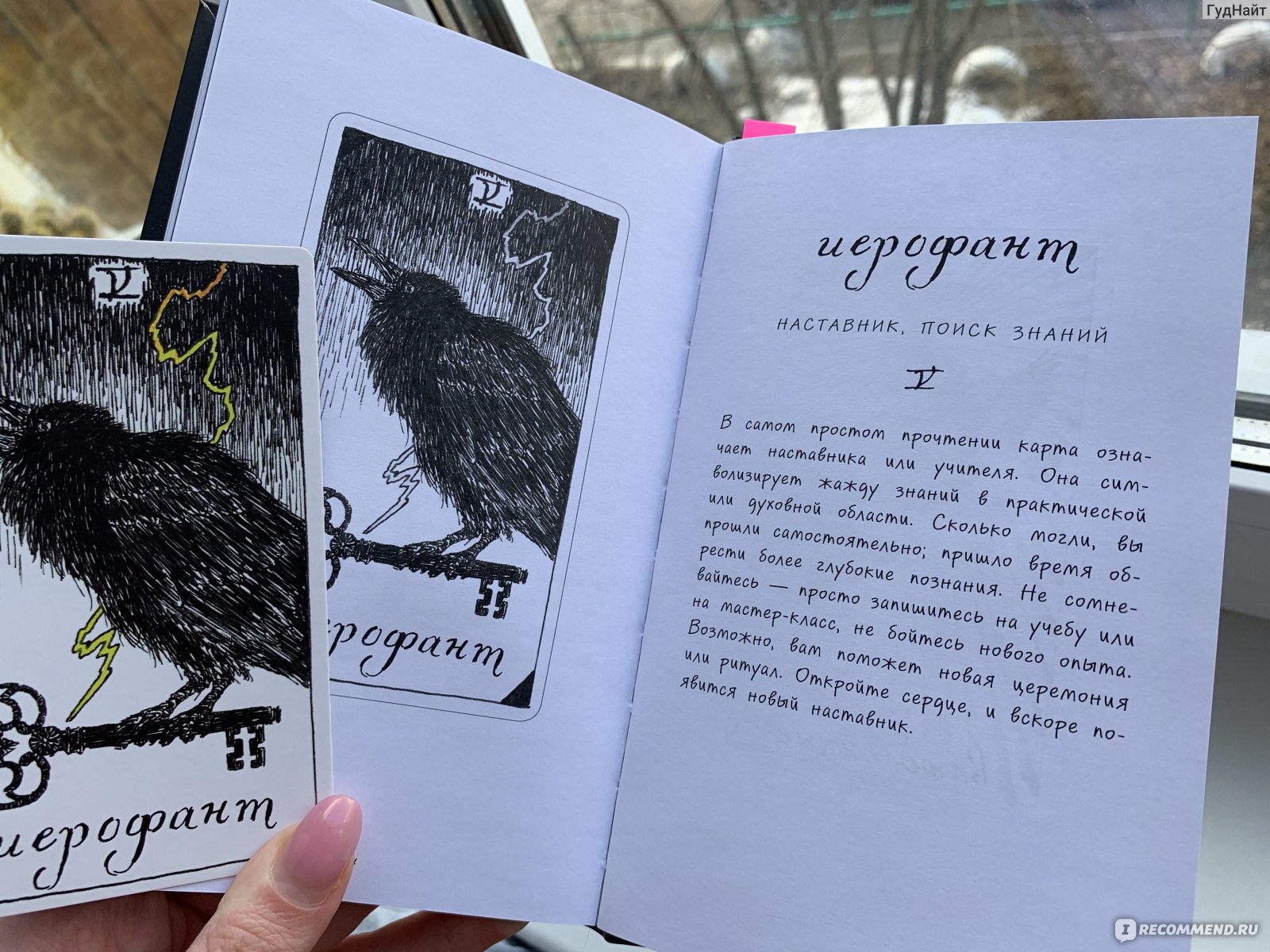 The Wild Unknown Tarot * Дикое Неизвестное Таро - «Моя ручная любимица.  Обзор на очень красивую колоду +много фото» | отзывы