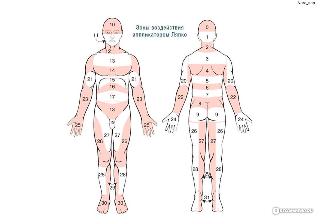 Точка выраженный. Аппликатор Ляпко зоны воздействия. Аппликатор Ляпко схема воздействия. Миостимуляция тела схема расположения электродов. Схема для применения аппликатора Ляпко.