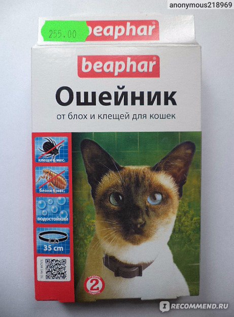 Противопаразитарные средства в виде ошейников для кошек купить в Киеве по низкой цене | Pethouse