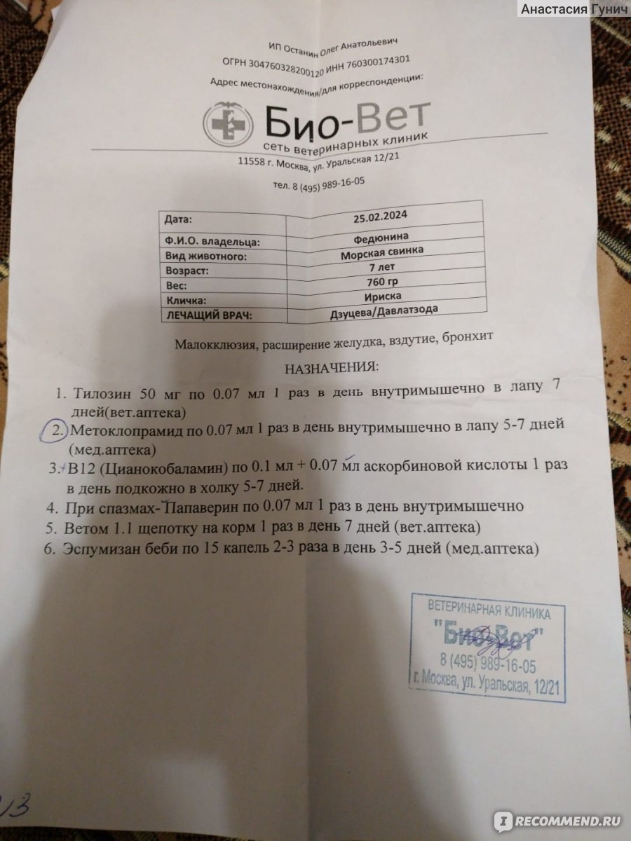 Ветеринарная клиника БиоВет м. Первомайская, Москва - «Не хотите потерять  питомца - не ходите» | отзывы