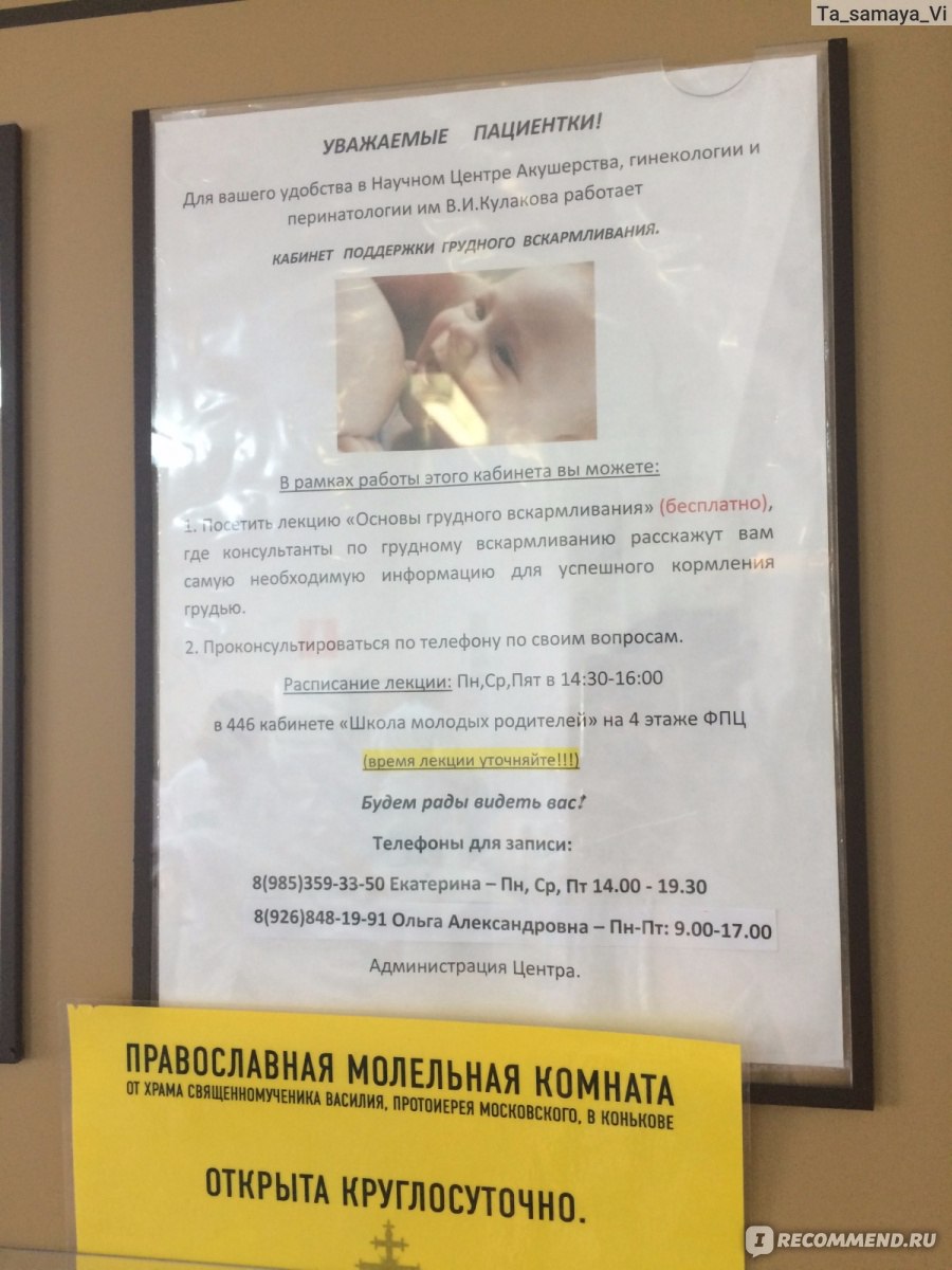Как временно живет в Петербурге суррогатная мать с доходом 30 000 ₽