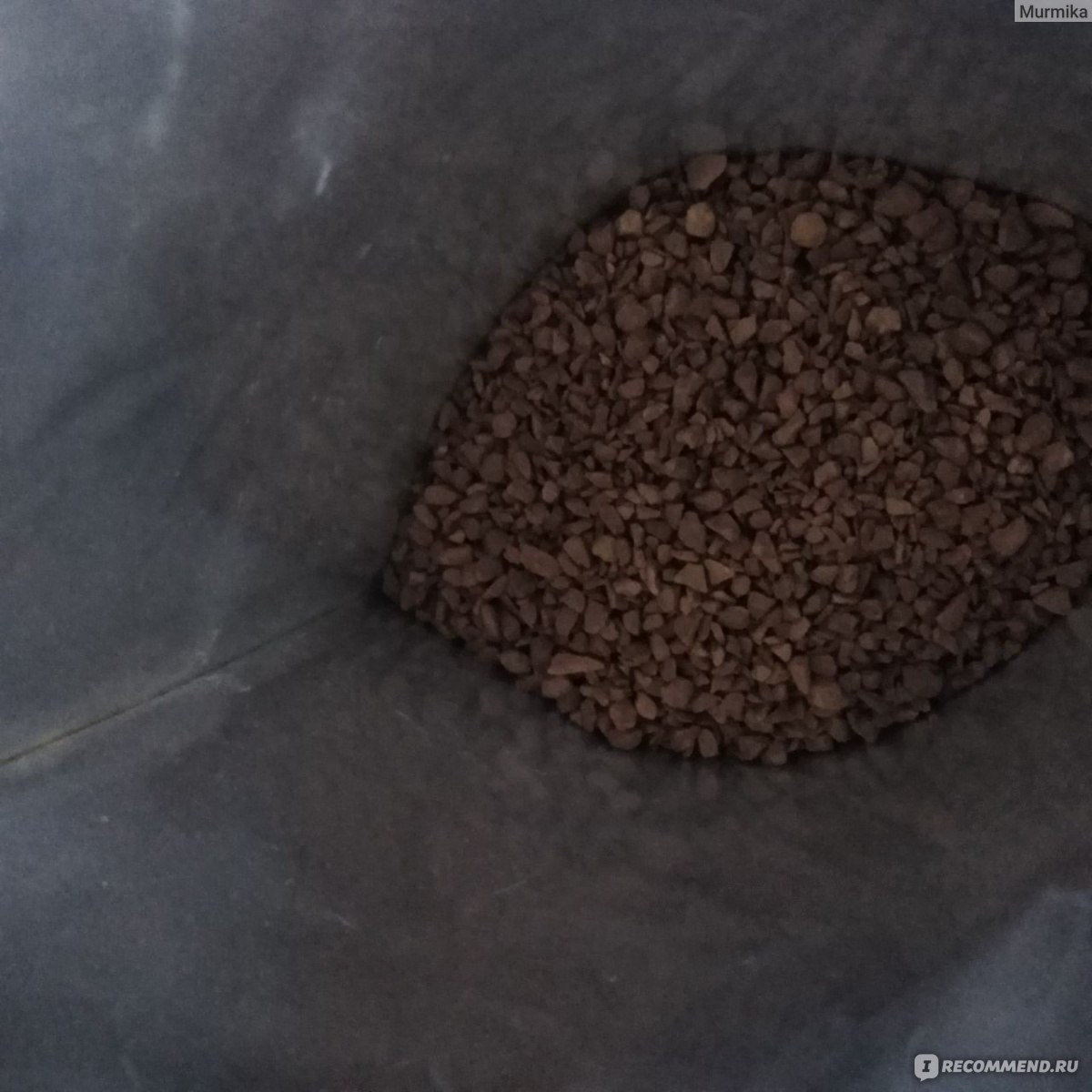 Кофе Today Ineo Arabica молотый в растворимом - «Идеальная арабика ...