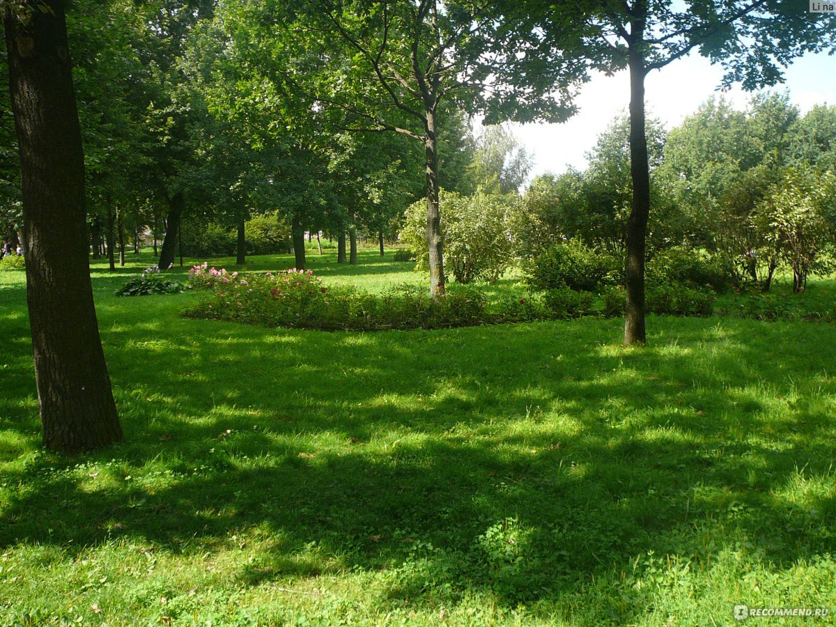 Таврический парк в Санкт-Петербурге газон