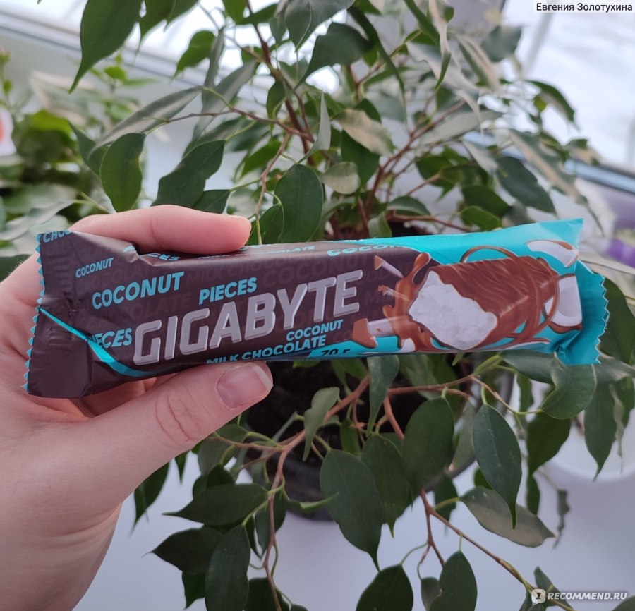 Батончик Gigabyte