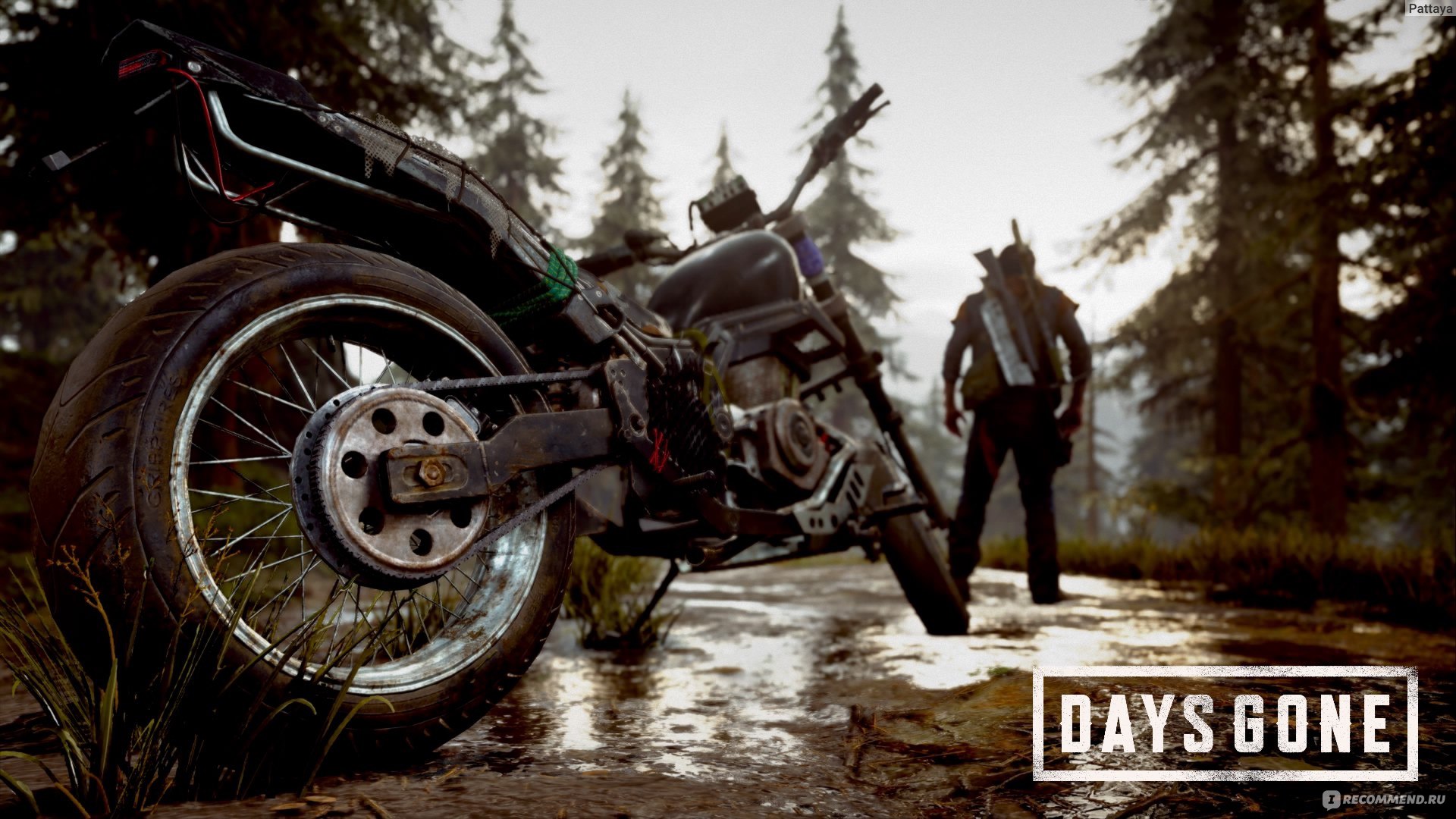 Days Gone - «Ожидание и реальность!» | отзывы