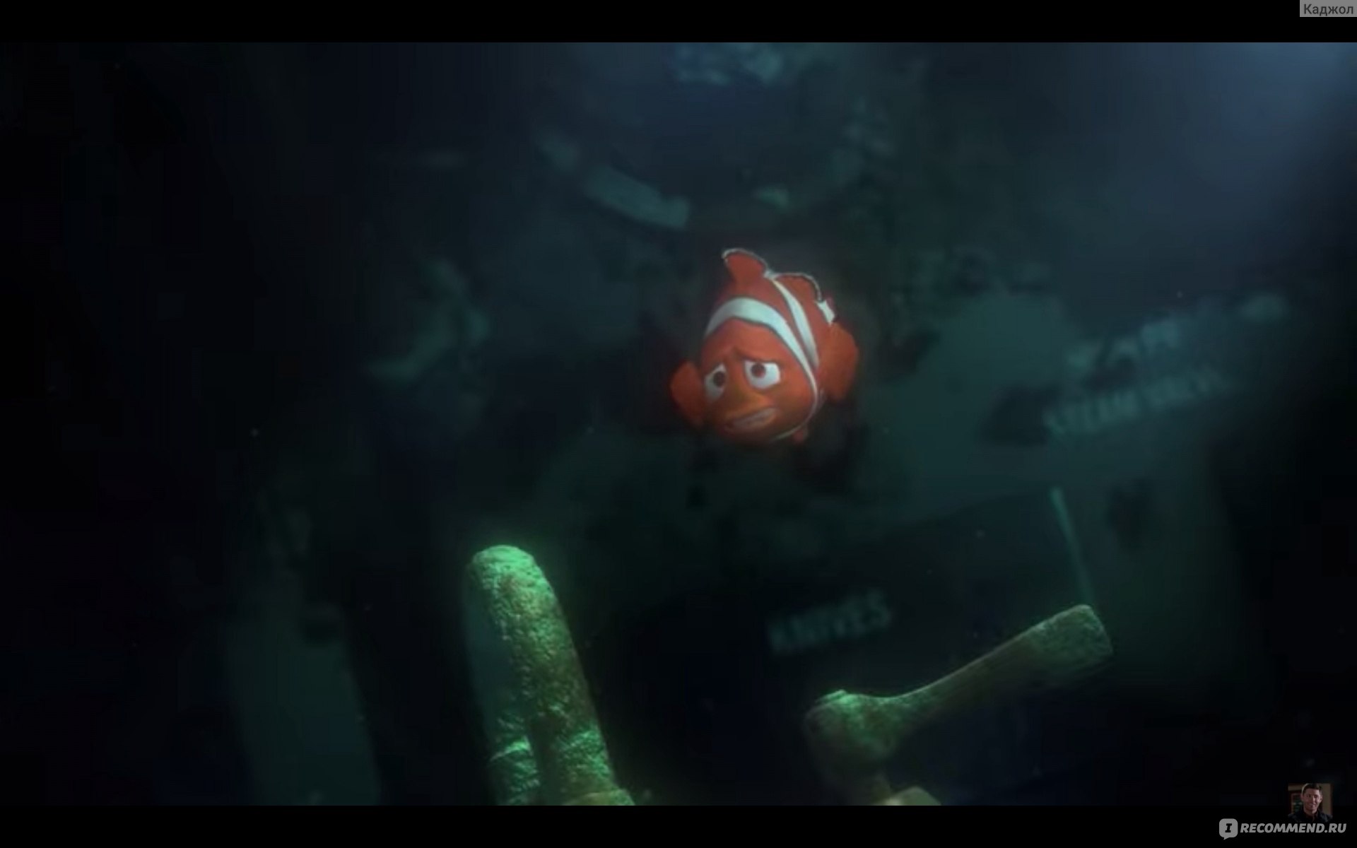 В поисках Немо / Finding Nemo - «Замечательная история отца и сына » |  отзывы